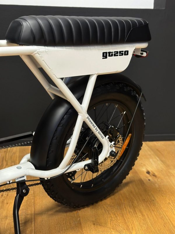 Fatbike AGM GT 250